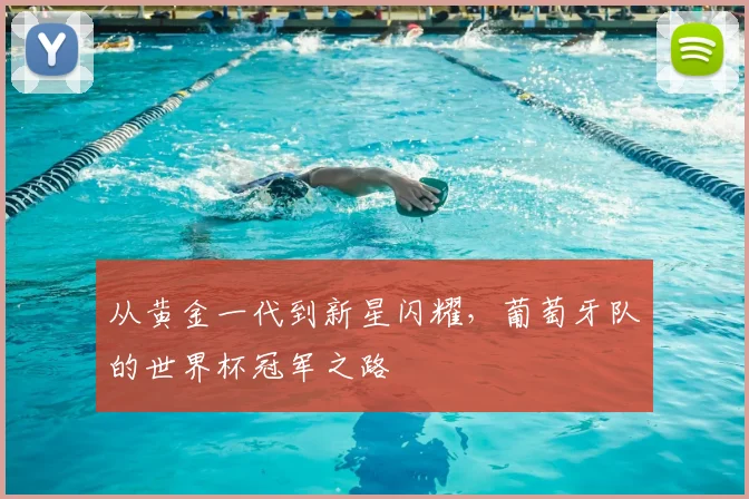 从黄金一代到新星闪耀，葡萄牙队的世界杯冠军之路