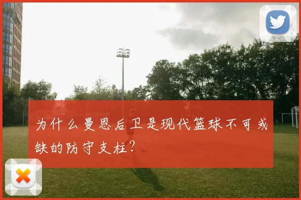 为什么曼恩后卫是现代篮球不可或缺的防守支柱?